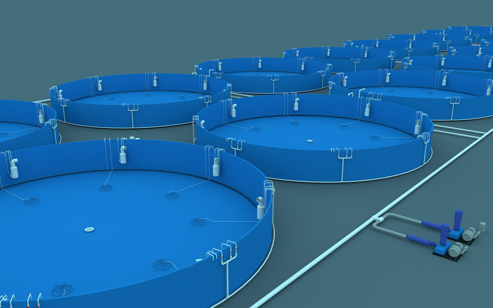 Tilapia farming methods and techniques, canvas ponds, fish ponds and canvas tilapia farming methods 3