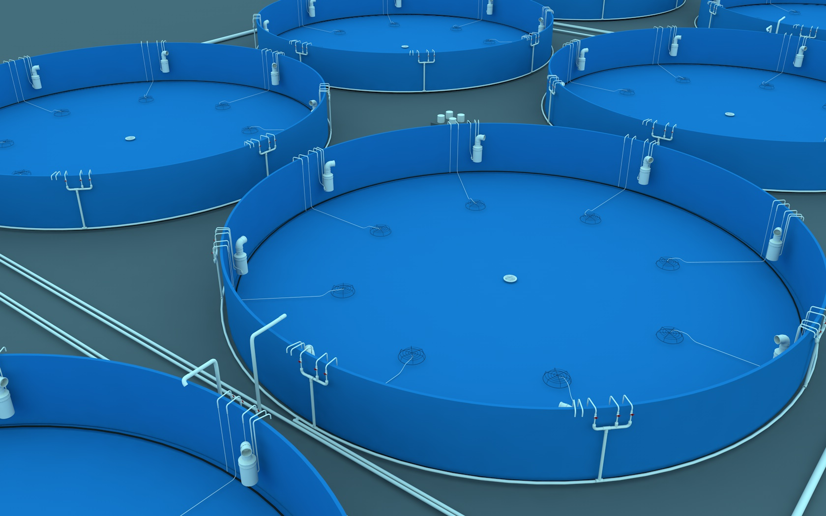 Tilapia farming methods and techniques, canvas ponds, fish ponds and canvas tilapia farming methods 2