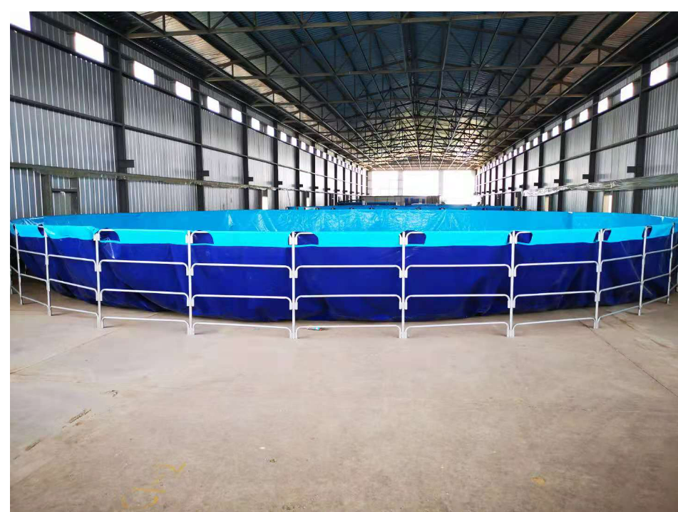 How to solve the problem of sewage filtration in fish ponds 1