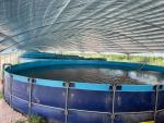 Does fish farming in canvas fish ponds have to be done in a greenhouse? Is it possible to raise fish in canvas ponds in 1