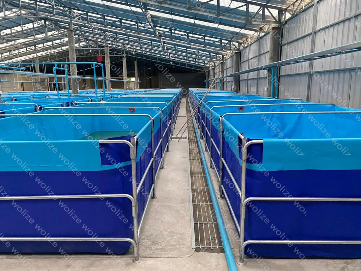 The factory aquaponic culture pond 2