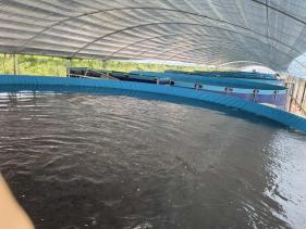 Canvas galvanized pipe fish pond 3