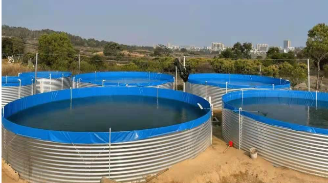 collapsible fish pond