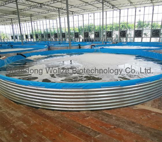 Popular Galvanized Sheet Fish Tank 1
