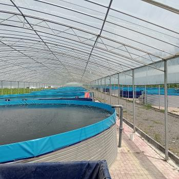 Popular Galvanized Sheet Fish Tank 6