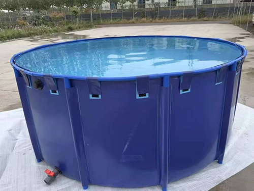 Koi farming helper 1