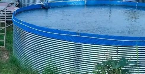Advantages of galvanized plate fish pond farming 1