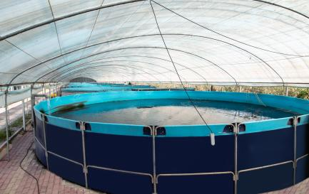 How to make a circulating water filtration system for fish ponds, what are the benefits of circulating water 2