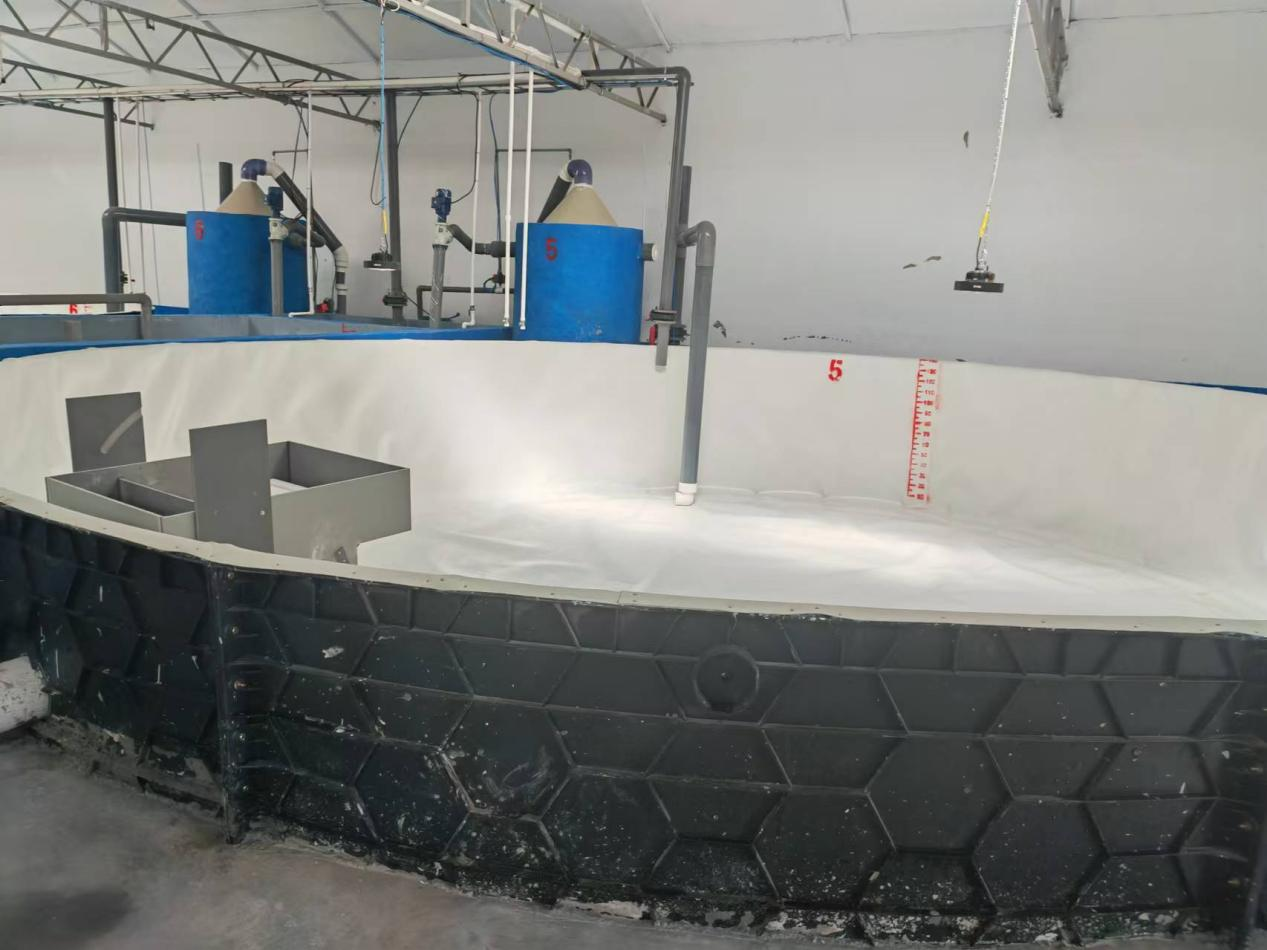 How to make a circulating water filtration system for fish ponds, what are the benefits of circulating water1 2