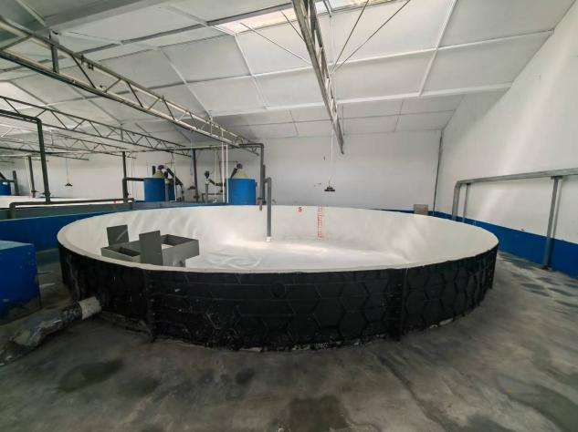 How to make a circulating water filtration system for fish ponds, what are the benefits of circulating water1 1