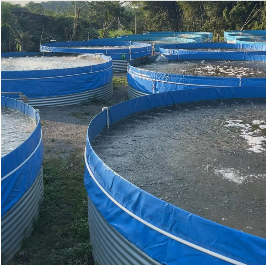 Galvanized canvas fish pond: an innovative choice for modern aquaculture 2