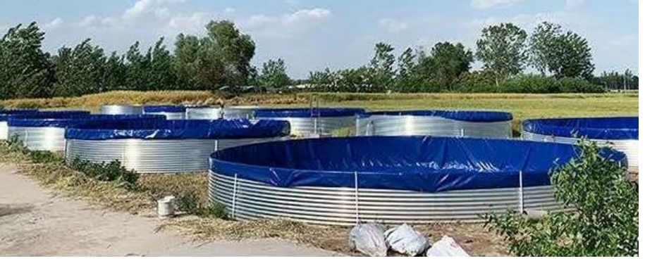 The outstanding advantages of galvanized plate fish ponds & High-density breeding equipment 2