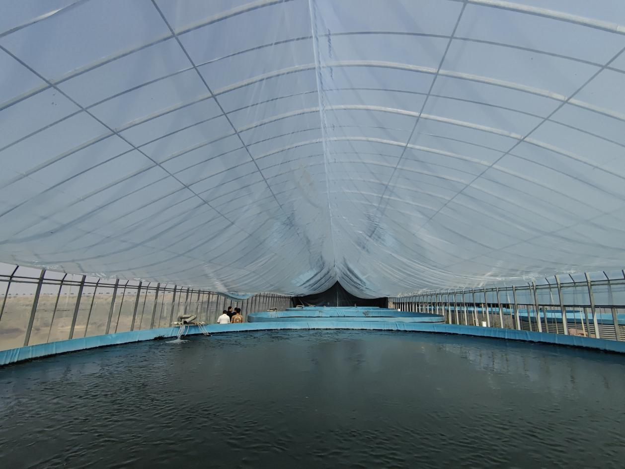 The outstanding advantages of galvanized plate fish ponds & High-density breeding equipment 1