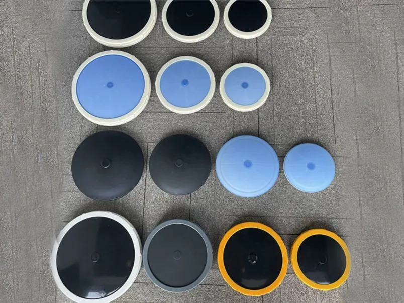 Ras Aquaculture System Design Factory Price Best Brand 2