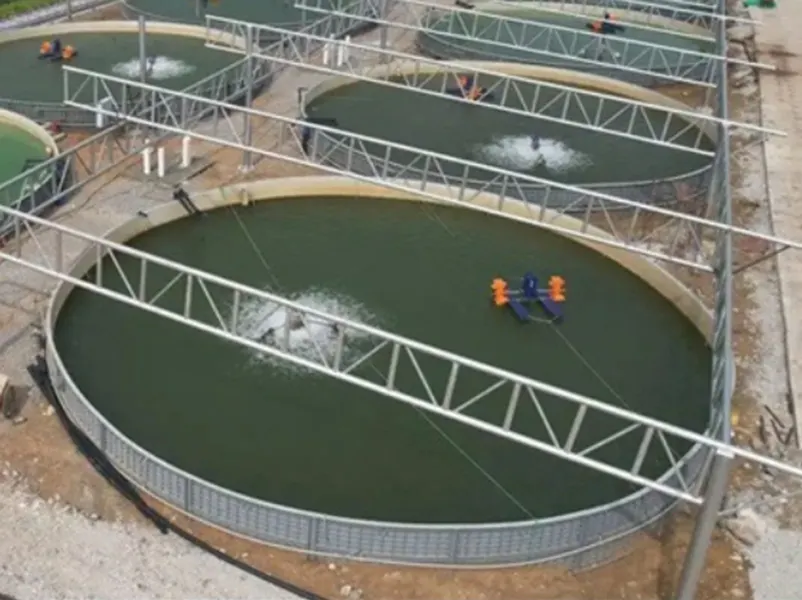 RAS Aquaculture System Water Tank Manufacturers Personalized 2