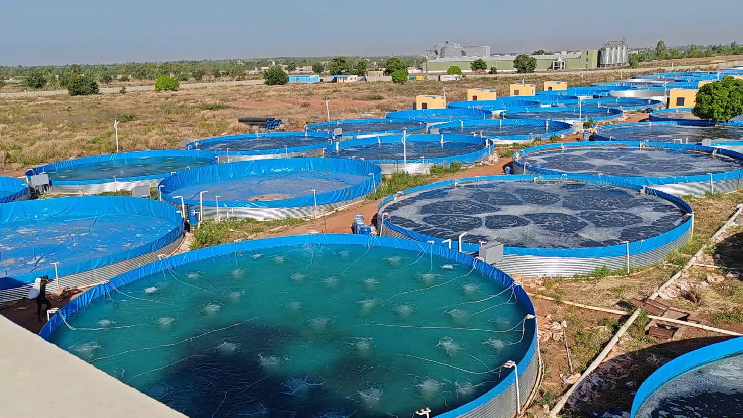 The Best RAS Vs Flowing Aquaculture Systems Selection Guide. | WOLIZE
