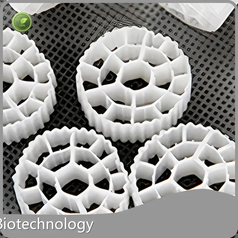 Professional Recirculating Aquaculture System for Sale Bulk Buy 1