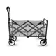 Hand Truck Collapsible Folding Wagon Company 2