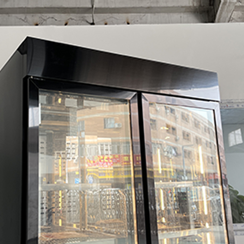 Best ​HJNG-20 Air cooling Beef cooked red wine dual temperature cabinet with 1538W | SHINELONG Supplier 3