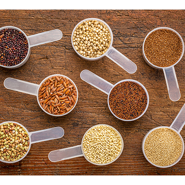 Quality 1000C Commercial Electric Grain Grinder-220V | SHINELONG 7