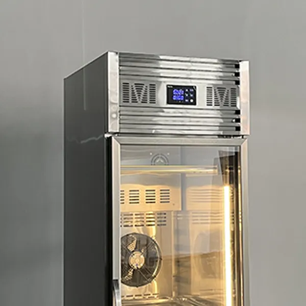 2 Door Commercial Freezer: LPG-10 Beef Drying Cabinet 4
