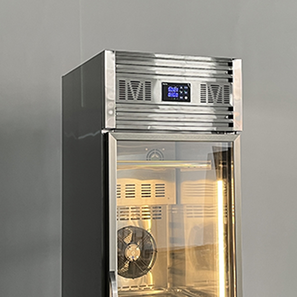 Best Refrigeration | Single Door Beef Drying Cabinet Supplier 6