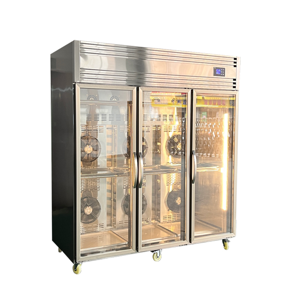 Commercial Kitchen Flagship Style 3-Doors Embryo Drying Showcase With 220V | SHINELONG 4