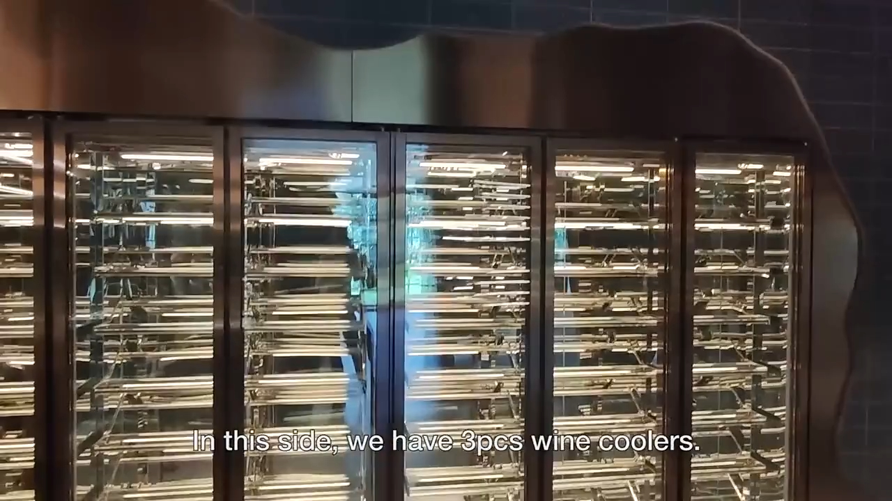 Marka ng Customized Wine Cooler Manufacturer | SHINELONG