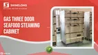 OEM/ODM commercial food steamer factory | SHINELONG 1