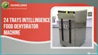 industrial dehydrator machine price at Wholesale Prices | SHINELONG 1