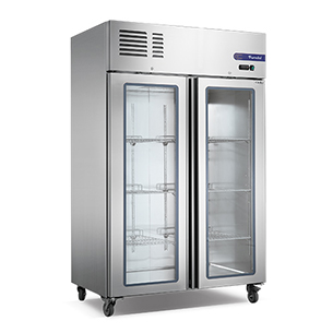 2 Glass Doors Fancooling Upright Freezer