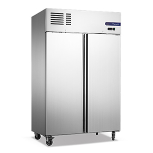 2 Doors Fancooling Upright Freezer