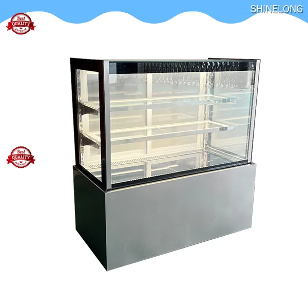 Shinelong DGGP-20 Deli Fridge: Air Cooling Technology, 2-8°C Temp Range 1