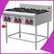Chinese Wok Range 2 Burner - 900*750*800mm NG/LPG 1