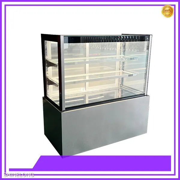DGGP-20 Deli Cooler with Air Cooling Technology 1
