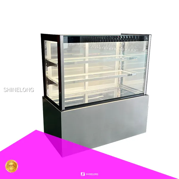 DGGP-20 Cake Cabinet: Air Cooling Technology for Freshness - Target Keywords: deli fridge 1
