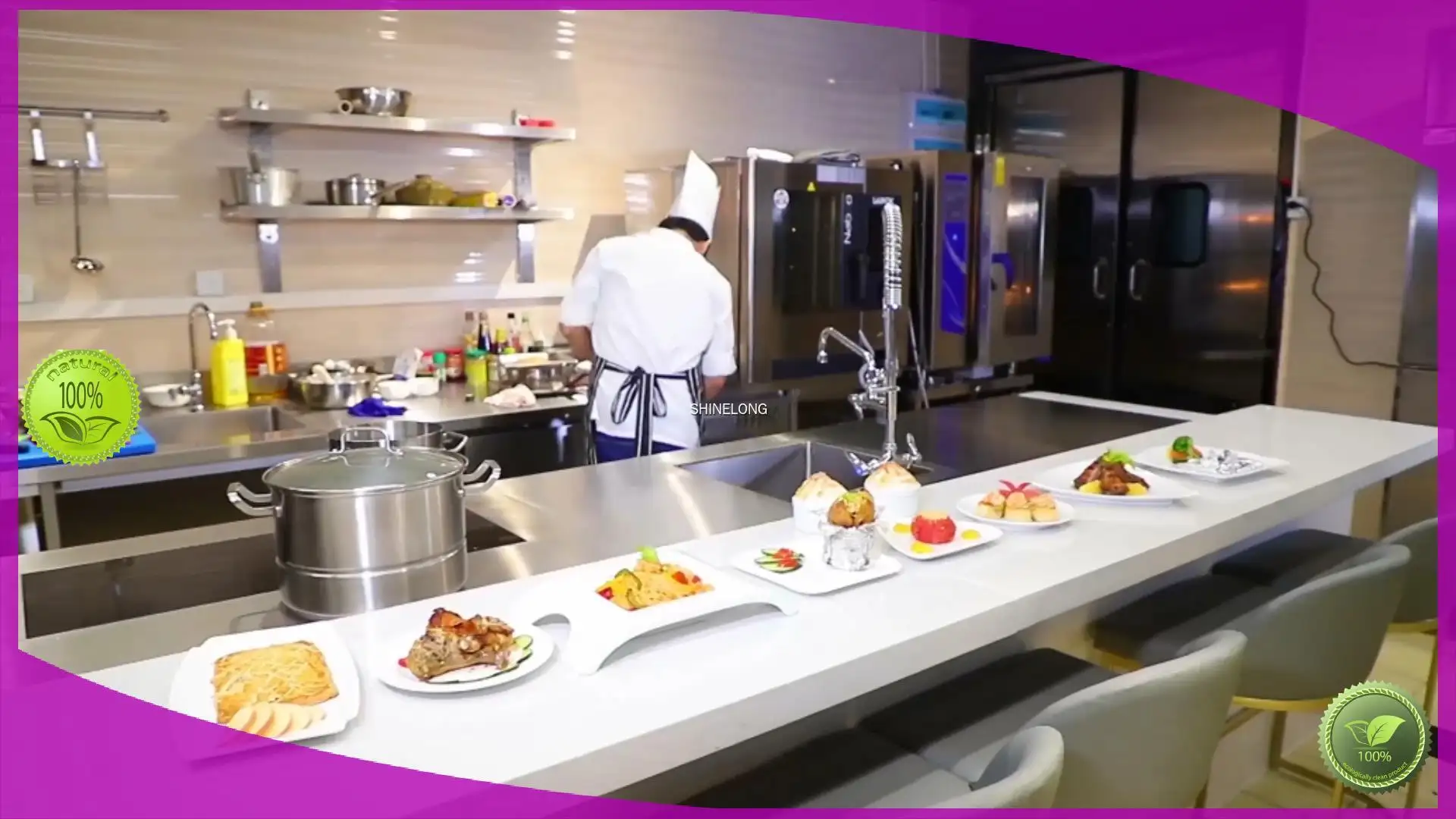 Russian Engineered Combi Oven: Smart Cooking Solution 1