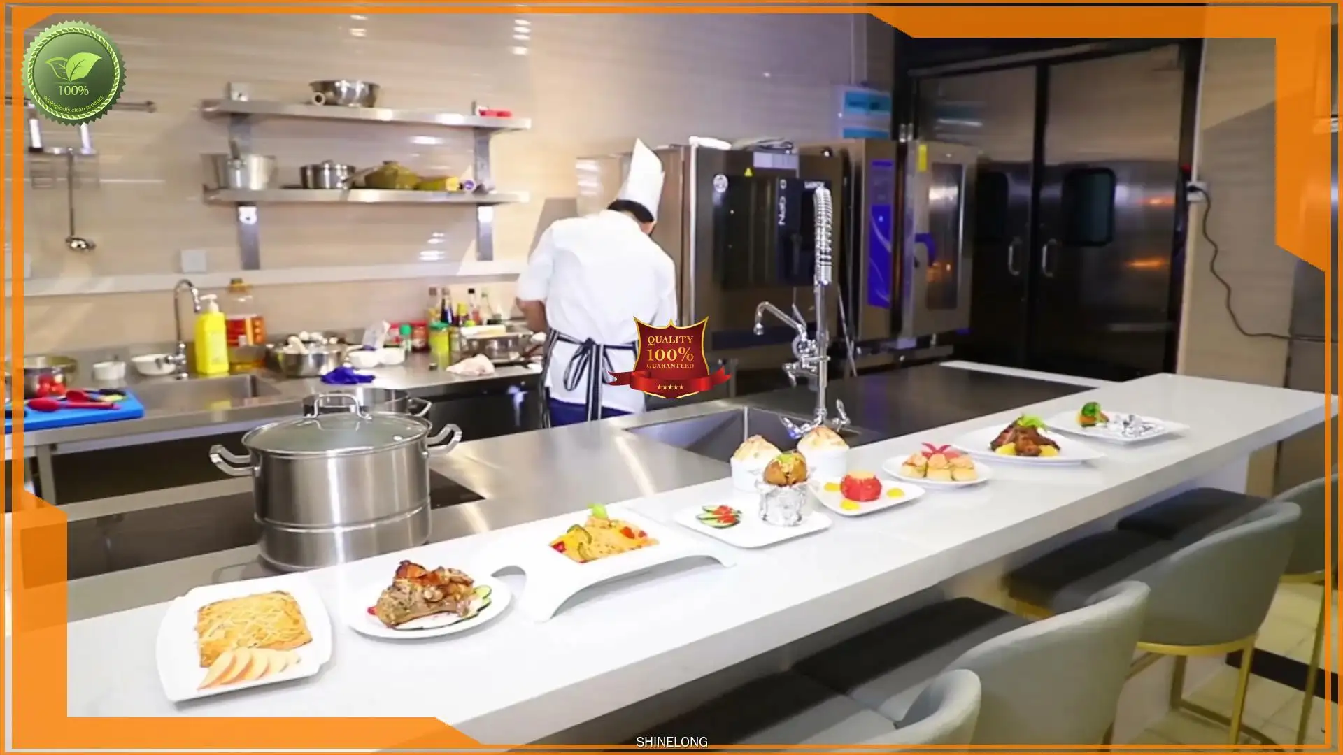 Russian-Made Combi Oven: Smart Cooking Solution 1