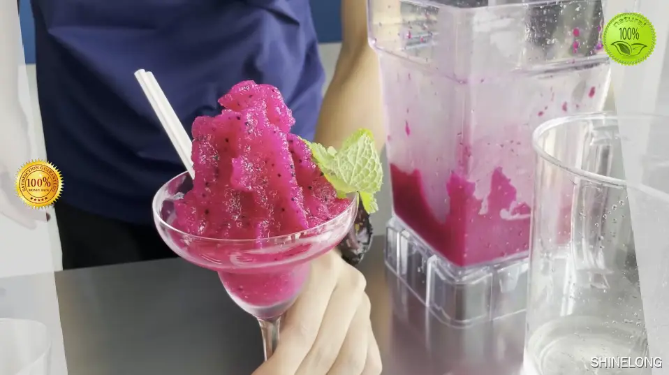 Professional High Speed Smoothie Blender with Sound Cover 1