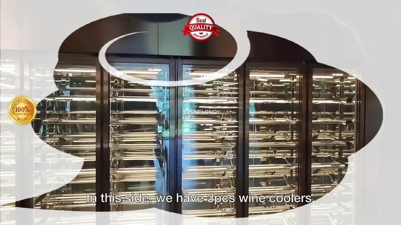 Customized Wine Cooler with Superior Performance & Design 1