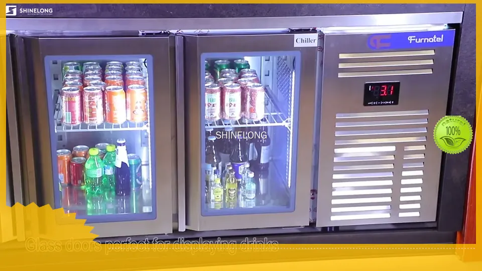 Outstanding Bar Refrigeration by SHINELONG 1