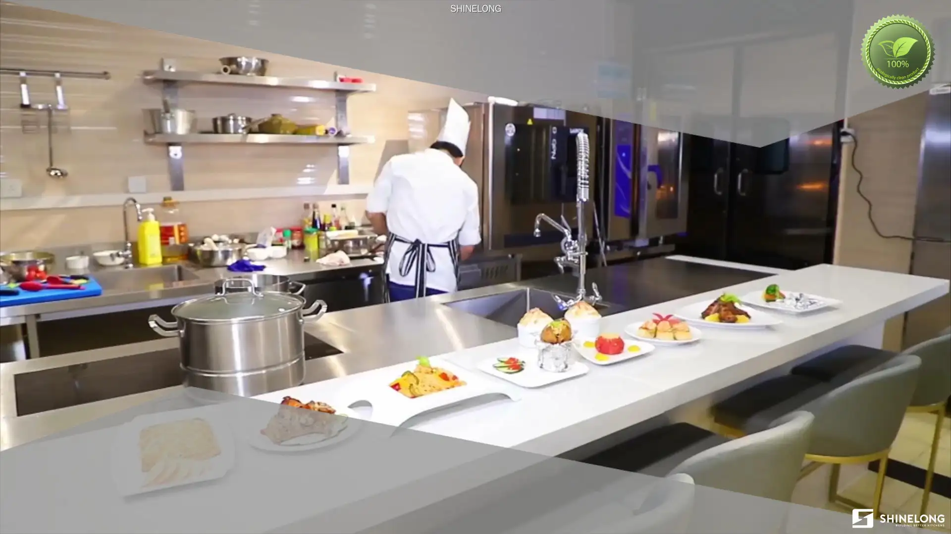 Commercial Combi Steam Oven: Smart Cooking Efficiency 1