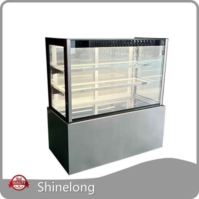 Deli Display Refrigerator ni Shinelong 1