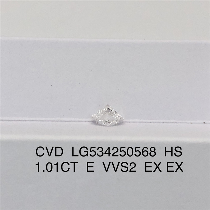 hs lab grown diamond