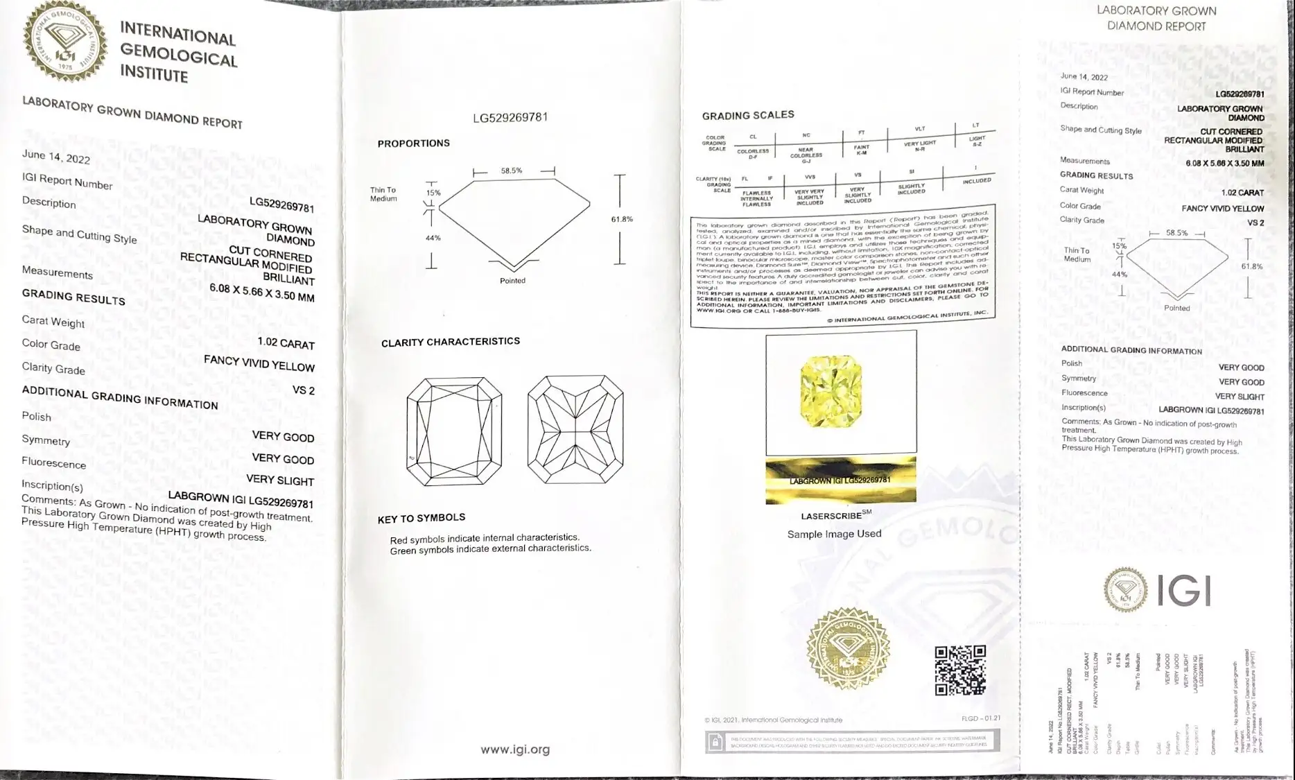 Lab Grown Fancy Yellow Diamonds 0.3-10 ct - Daily Updates, IGI Certified 3