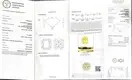 Lab Grown Yellow Diamonds: 0.3-10 ct, IGI Certified, Daily Updates 3