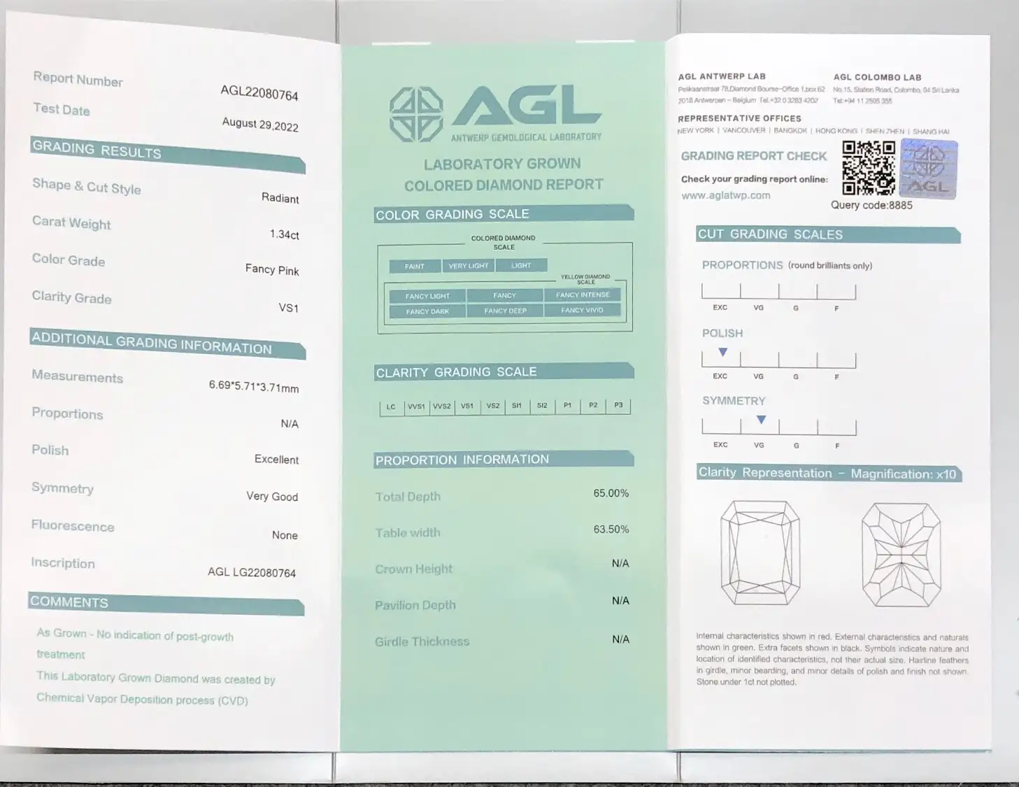 4 ct Lab Grown Radiant Diamond - Daily Updates Available - IGI Certified 3
