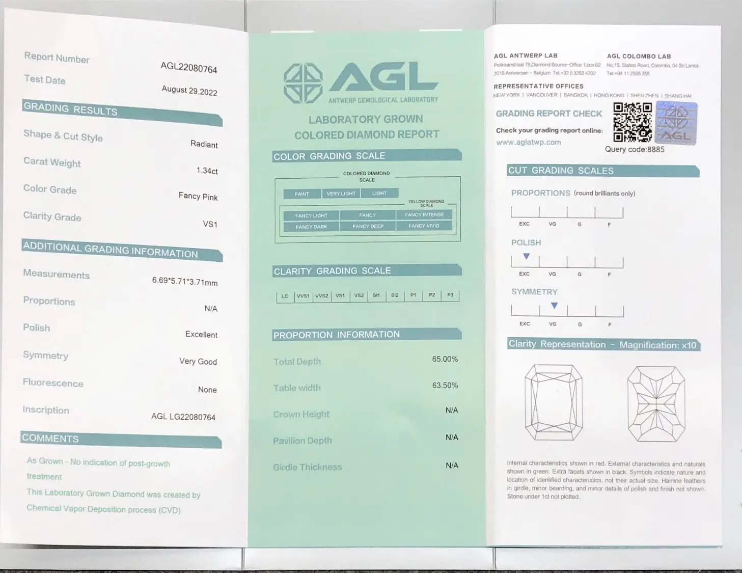 4 ct Lab Grown Radiant Diamond - Daily Updates Available - IGI Certified 3