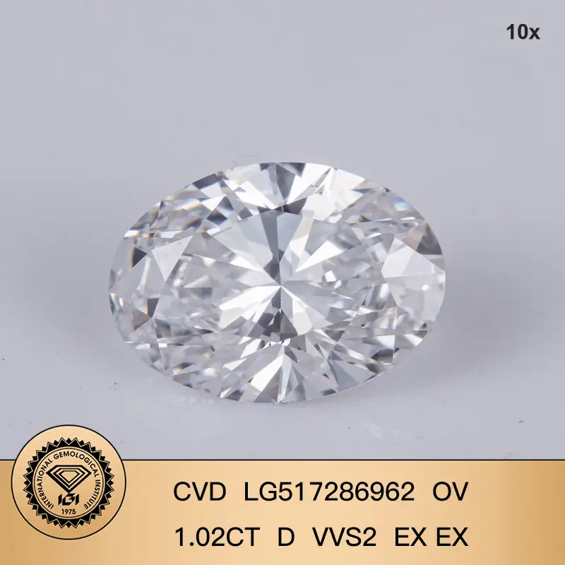 Forma rotonda D VVS2 Lab Grown Diamond 8.02 Carat CVD con certificato IGI 1
