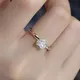 Cincin Berlian Tumbuh Cincin Berlian Makmal Borong - Barang Kemas Messi 7